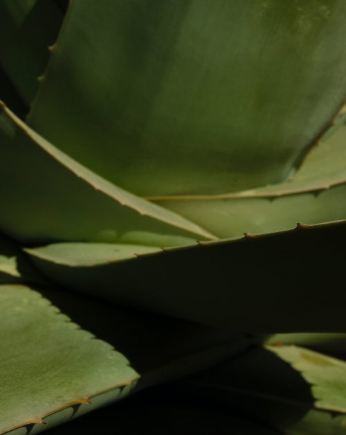 block image