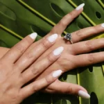 Photo studio d'ongles en résine fraîchement posés, forme amande et teinte nude, sur fond de feuille de palmier