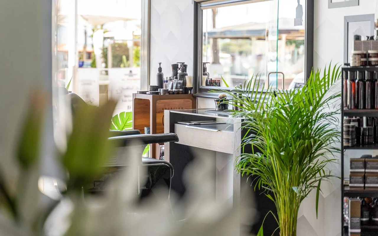 Un poste de coiffage de salon aperçu derrière des plantes vertes feuillues, avec des produits de soin disposés sur un comptoir et des étagères en bois et une lumière du jour vive entrant par la fenêtre à l'arrière.